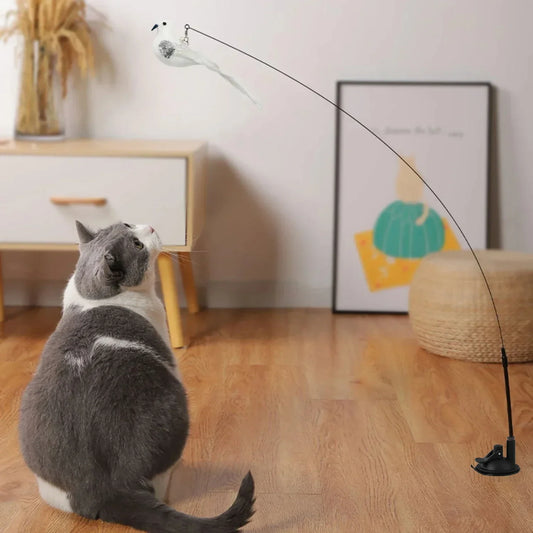 Peacock Feather Cat Teaser – Pawspire